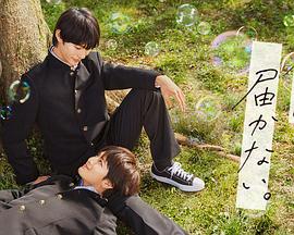 有什么好网站优化公司